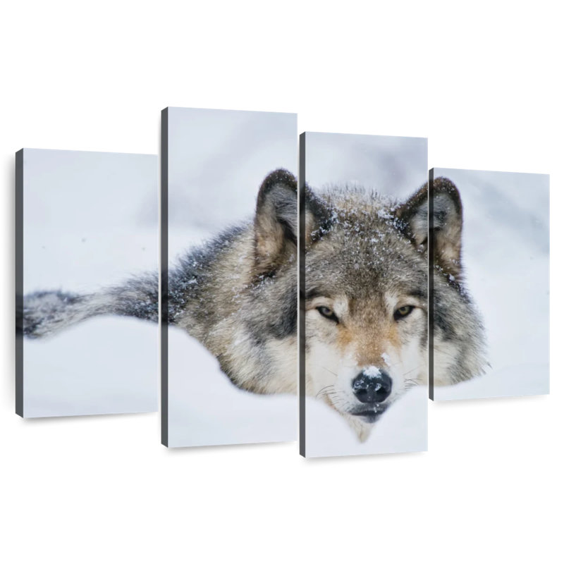 Brampt Wolf In Snow, 27"H x 43"W