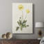 Fleurs des Saisons - galerie Cavas-118052042