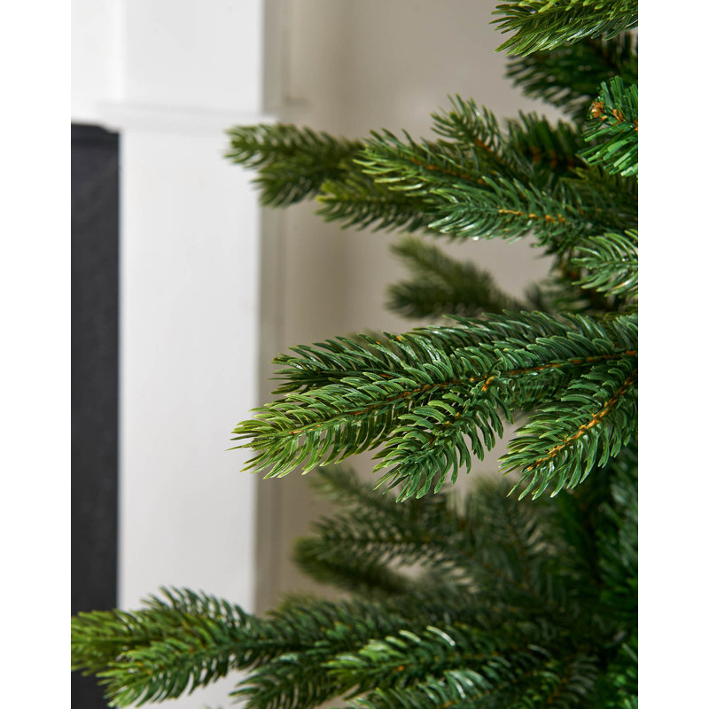 7' H Himalayan Fir Christmas Tree