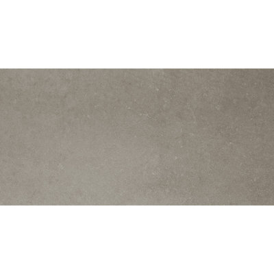 High Street Semi-Polished 12'' W x 24'' L Porcelain Concrete Look Singular Tile