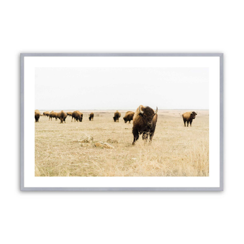 Wild Plains Print, Polished Chrome Framed, 12.25" H x 15.25" W x 1.25" D
