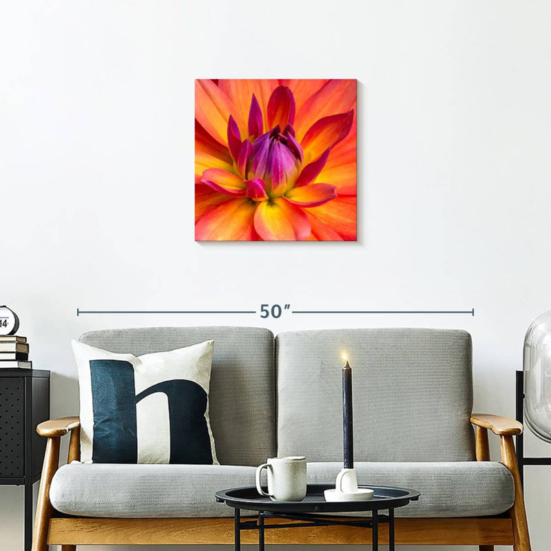 Harnek Blooming Dahlia