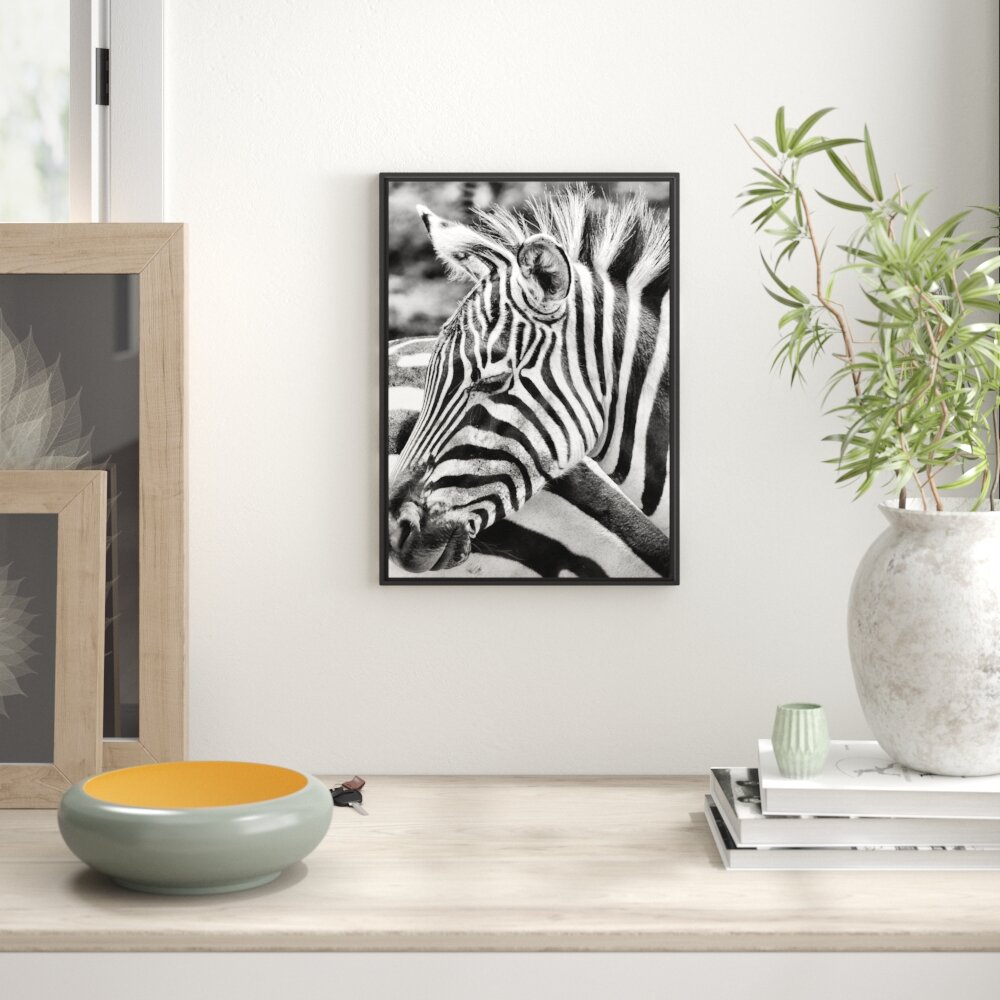 Gerahmtes Wandbild prächtiges Zebra