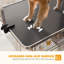 Table de toilettage réglable pour chien avec 2 sangles de sécurité, noire