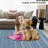 Rugs for Living Room Washable Rug Non-Slip Low Pile Accent Carpet Modern Abstract Carpet for Kitchen Entryways-946061824-946061837