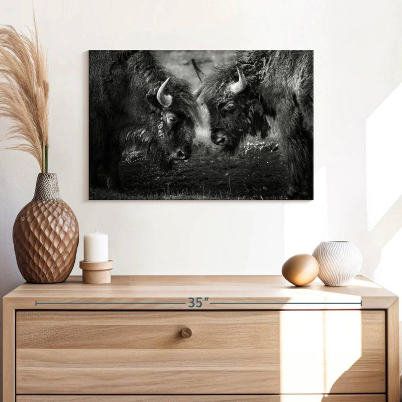 Brampt Bisons Head To Head, 16" H x 24" W