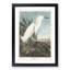 Snowy Heron by John Audubon - Picture Frame Painting Print-55618747-55618748