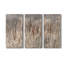 Summer Tails - Ensemble de 3 photographies sur toile tendue-1001204707