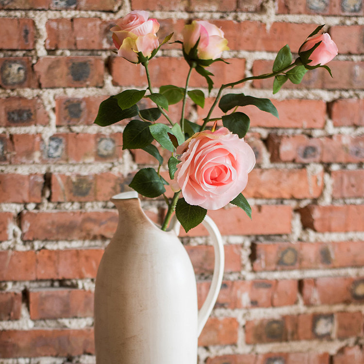 Tige de rose rustique rose