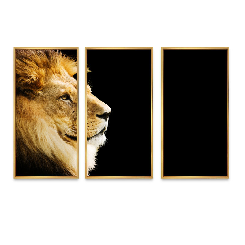 Portrait d'un grand lion sur fond noir - ensemble de 3 reproductions d'art encadrées sur toile, H 28 po x l 36 po x P 1 po