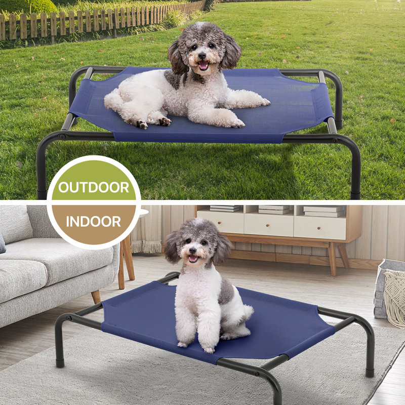 Small Navy Blue Elevated Outdoor Dog Bed with Steel Frame