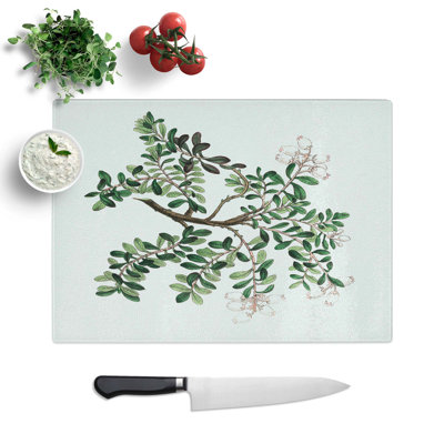 Tempered Glass Bearberry Flowers Illustration Chopping Board