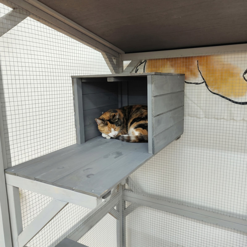 Enceinte d'extérieur pour chat de 71,2 po de hauteur avec roulettes, Catio en bois multi-niveaux, portes verrouillables et tapis amovible