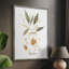 «Neutral Floral II», reproduction encadrée - bois massif 49556-106837548