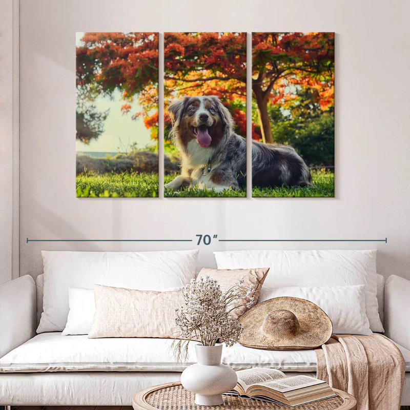 Brampt Cherry Border Collie, 32" H x 50" W
