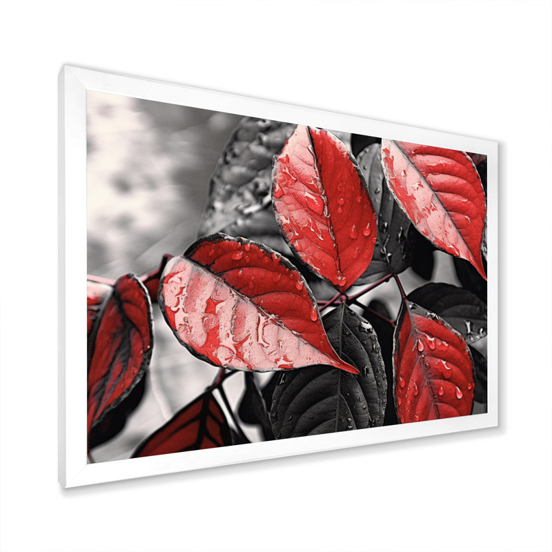 Feuilles rouges et grises sur un arbre V, H 30 po x l 40 po x P 1,5 po, Cadre simple blanc