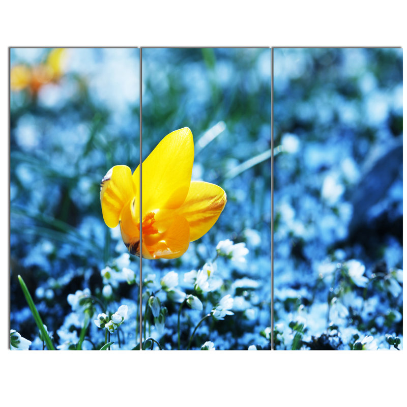 « solitary yellow fleur on blue », ensemble de 3 reproductions de photos sur toiles tendues