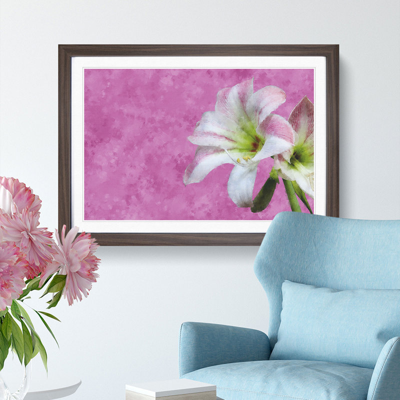 Pink and White Amaryllis Flower - Picture Frame Painting Print, Walnut Framed, 45cm H x 63cm W x 2cm D