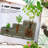 3-Tier Galvanized Steel Raised Garden Bed Kit, 62.25" X 43" X 32.25", 3 Combining Planter Boxes With Rubber Strip Edging, Open Bottom For Backyard, Garden, Patio-720749424