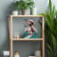 Sloth Ready To Dive Contemporary Forest Wall Art Print 1 Piece Wrapped Canvas Wall Art-328863770