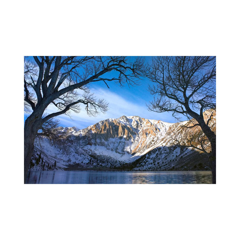 Laurel Mountain And Convict Lake Framed By Barren Trees In Winter by Tim Fitzharris - Wrapped Canvas Print