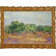 Olive Trees Print