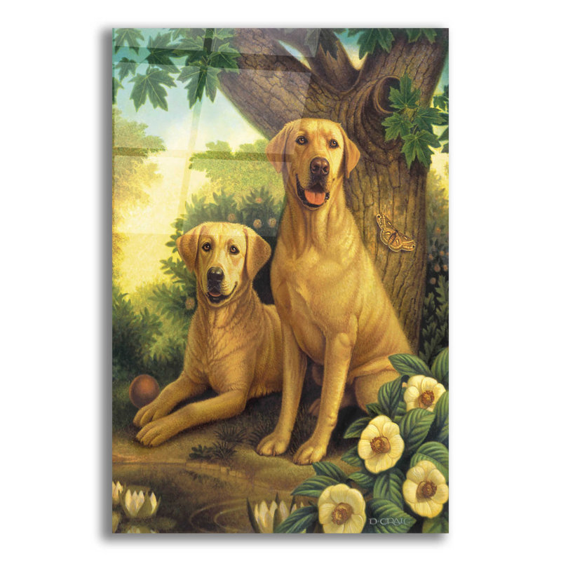 Yellow Labs par Dan Craig, H 16 po x l 12 po x P 0,13 po