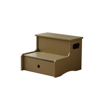 Lylia Step Stool with Storage – Lightweight & Colorful Design for Bathroom, Kitchen & Playroom
