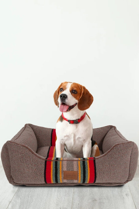 Dog Beds & Mats