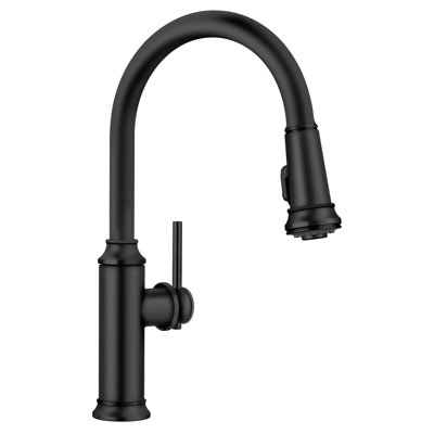 Empressa High Arc Pull-Down Dual-Spray Kitchen Faucet