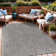 Waikiki Indoor / Outdoor Rug
