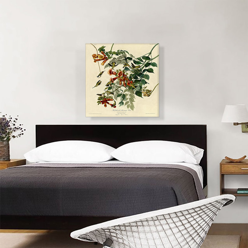 «Colibri à gorge rubis» par James Audubon, reproduction d'art sur toile tendue, H 26 po x l 26 po x P 0,75 po