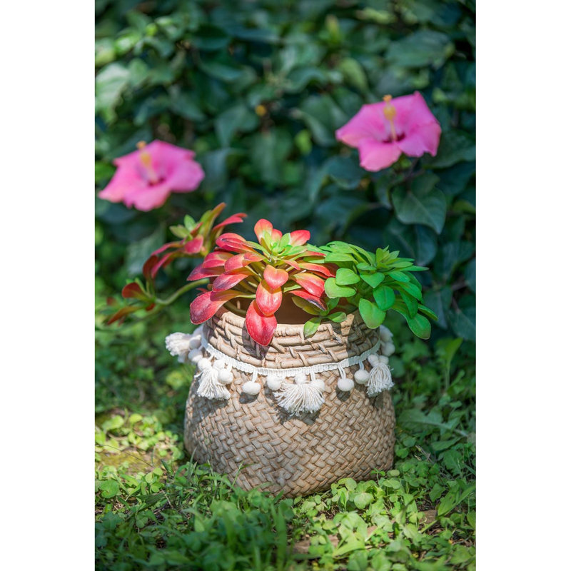Présentoirs floraux polyvalents décoratifs rustiques Boho