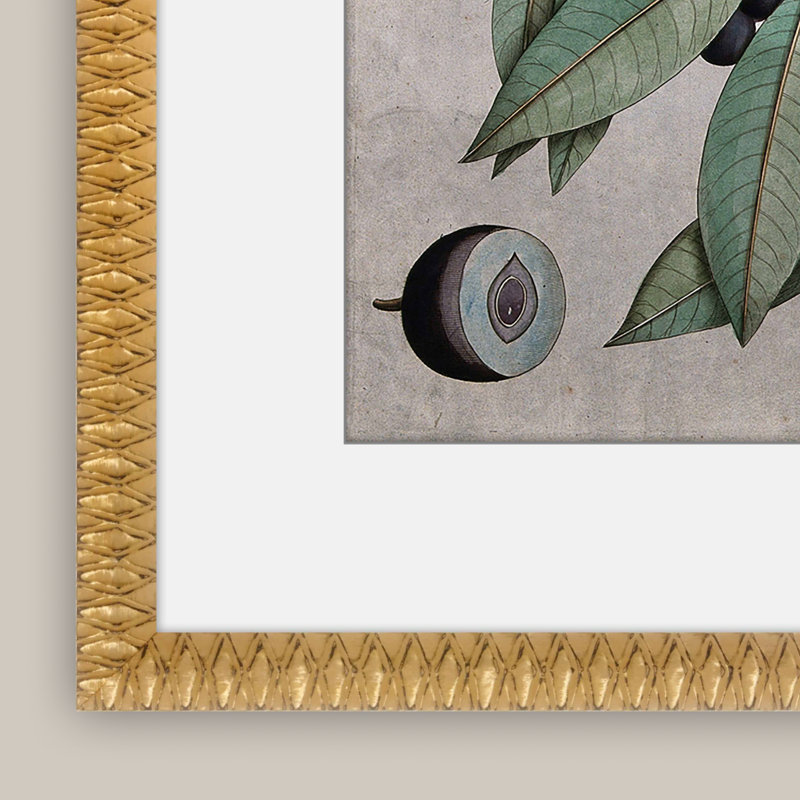 Martha Stewart Bedford, art mural en papier, «Orchard Botanical: Plum Branch», 17,75 po x 21,75 po, décor de salon et de chambre à coucher, encadré