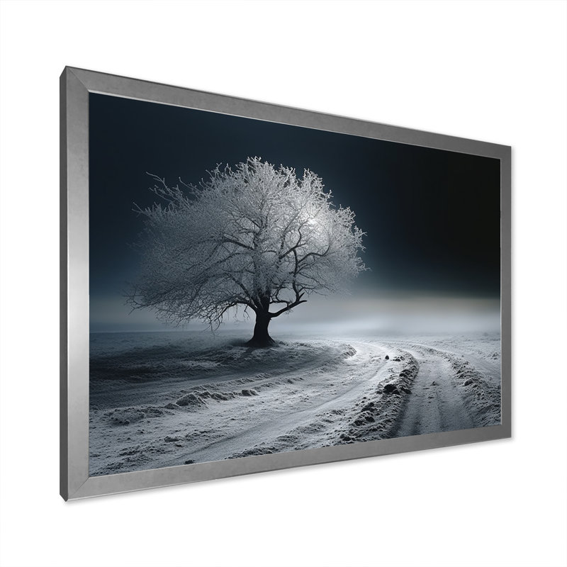 Photographie en noir et blanc d'un arbre d'hiver II sur toile, H 16 po x l 32 po x P 1 po, Cadre photo argenté