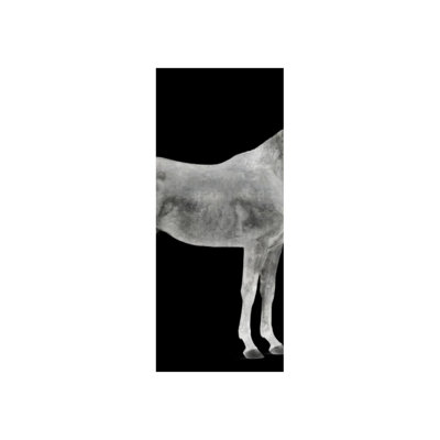 Twilight Cheval II Print by Austin Beiv