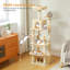 Arbre à chat-1622976608