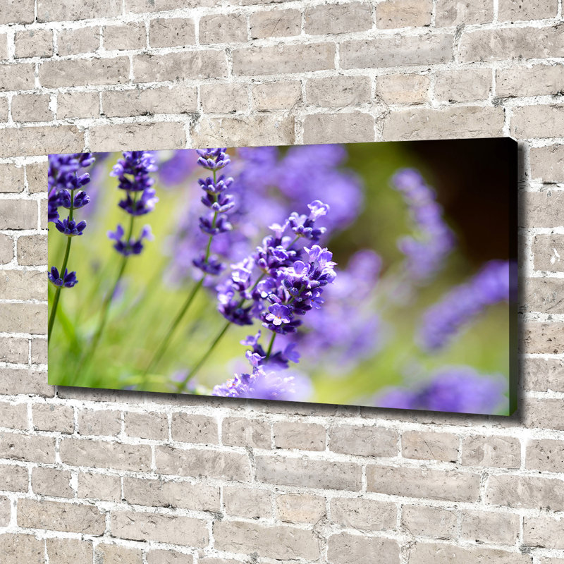 Lavender - Wrapped Canvas Print