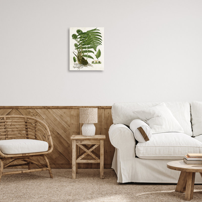 Art mural sur toile Curves Ferns Study par Susan Arnot bp-692_CN, H 20 po x l 16 po
