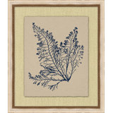 Small Navy Sea Fan 4 Print