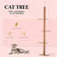 Arbre à chat, centre d'activités pour arbre à chat-618155781-618155782