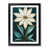 Black Framed Paper selected