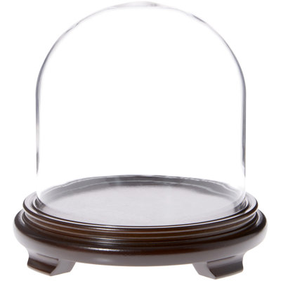 Cloche en verre avec dôme Keiser 8 po x 8 po