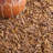 Arik Handwoven Leather/Cotton Solid Color Rug in Light Gold-1917009482