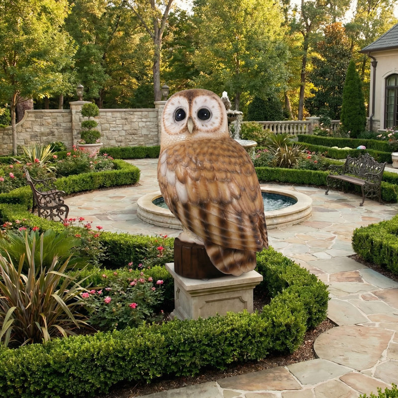 Hibou fauve Graig
