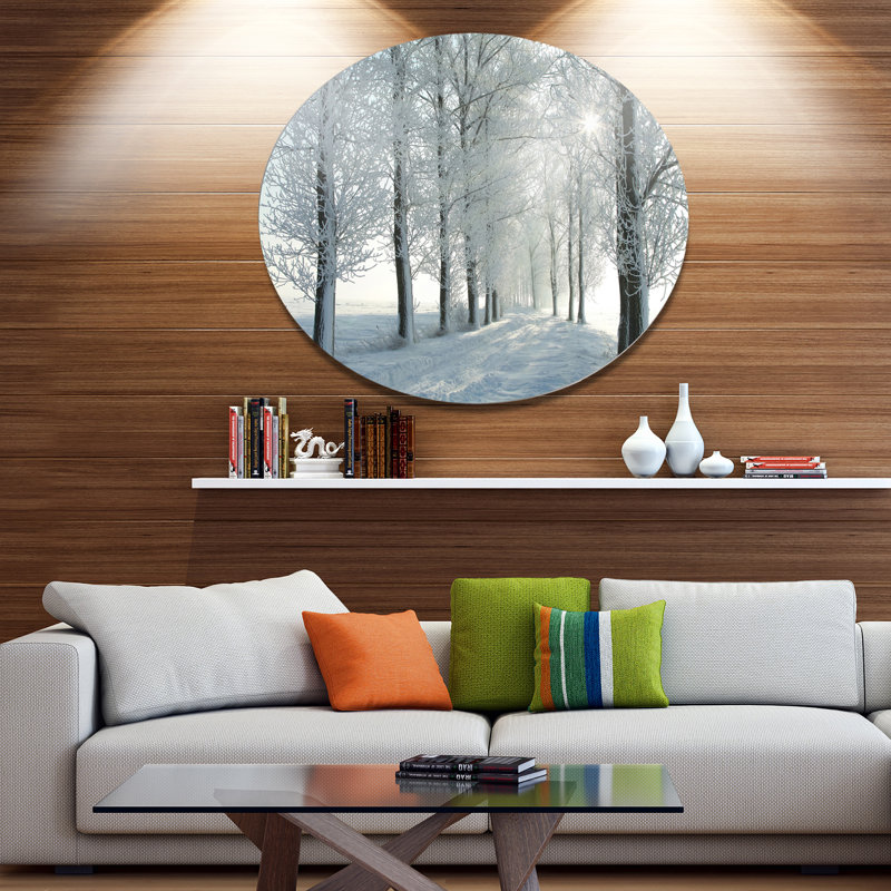 «Winter Trees Backlit by Morning Sun», reproduction de photo sur métal, H 23 po x l 23 po