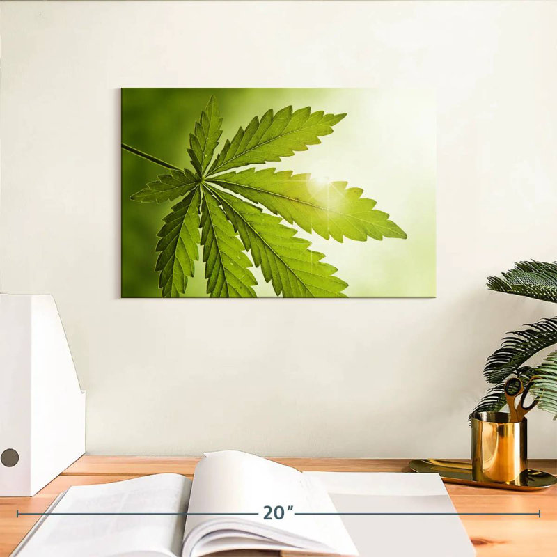 Lever de soleil de la marijuana, 8" H x 12" W