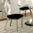 Contemporary 2pc Dining Chairs