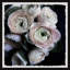 Delicate Layers - Single Picture Frame Painting-135993388