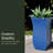 Latonia Planter Box-1636602854-1704827857